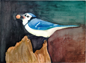 The Blue Jay